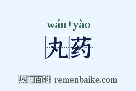 丸药是什么意思的图片